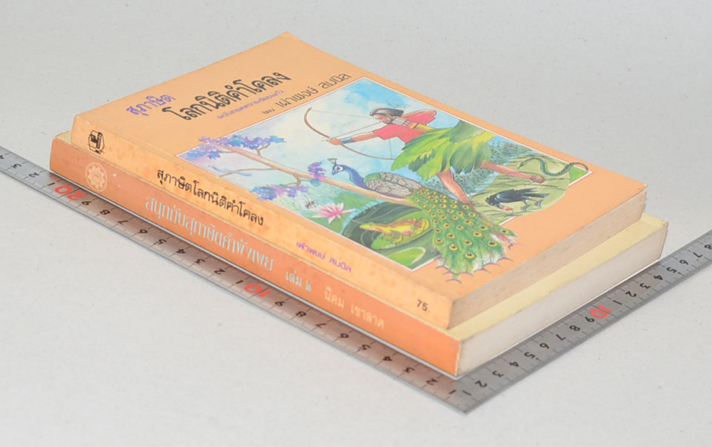 รวมเรื่อง (2 เล่ม)