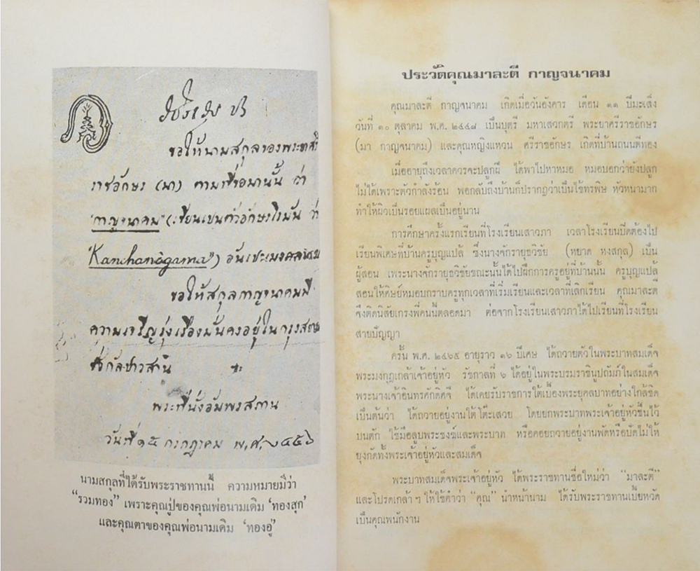 เสือเฒ่า