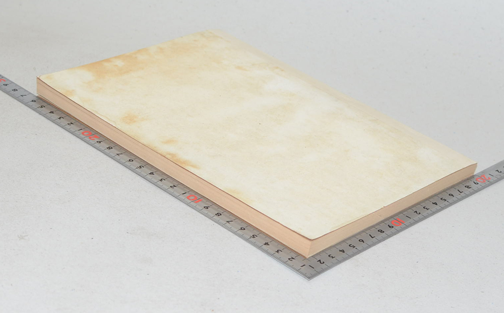 นางสาลี่ ลี้ถาวร (รายการพบประชาชน)