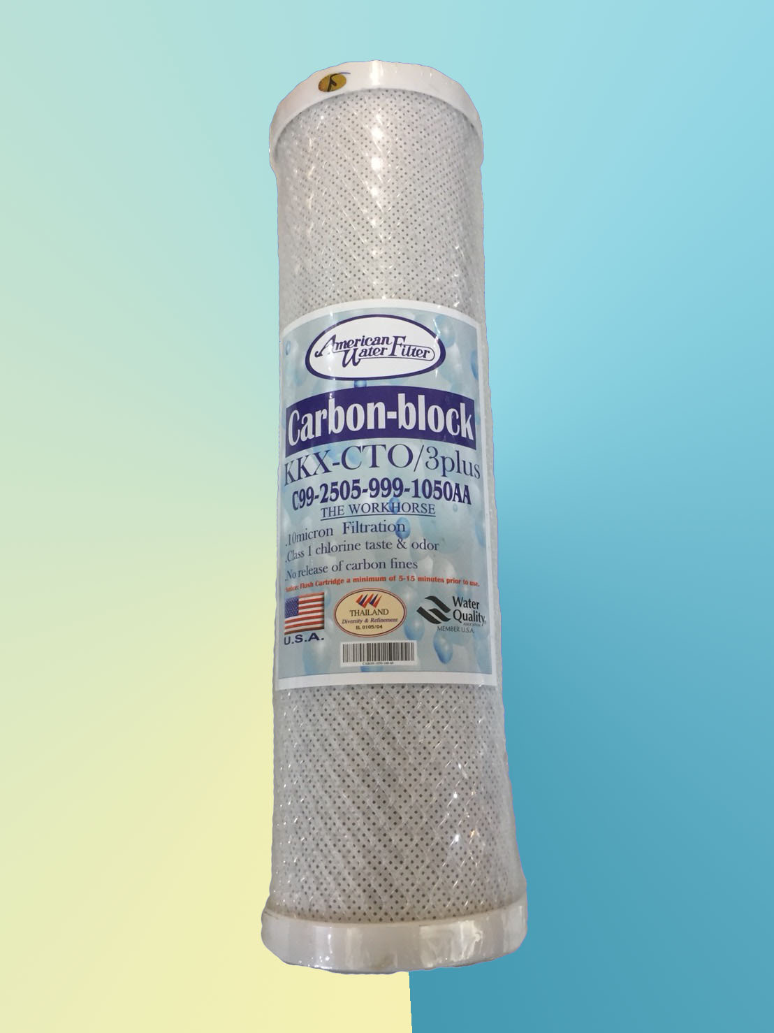 ไส้ Carbon Block ตาข่าย