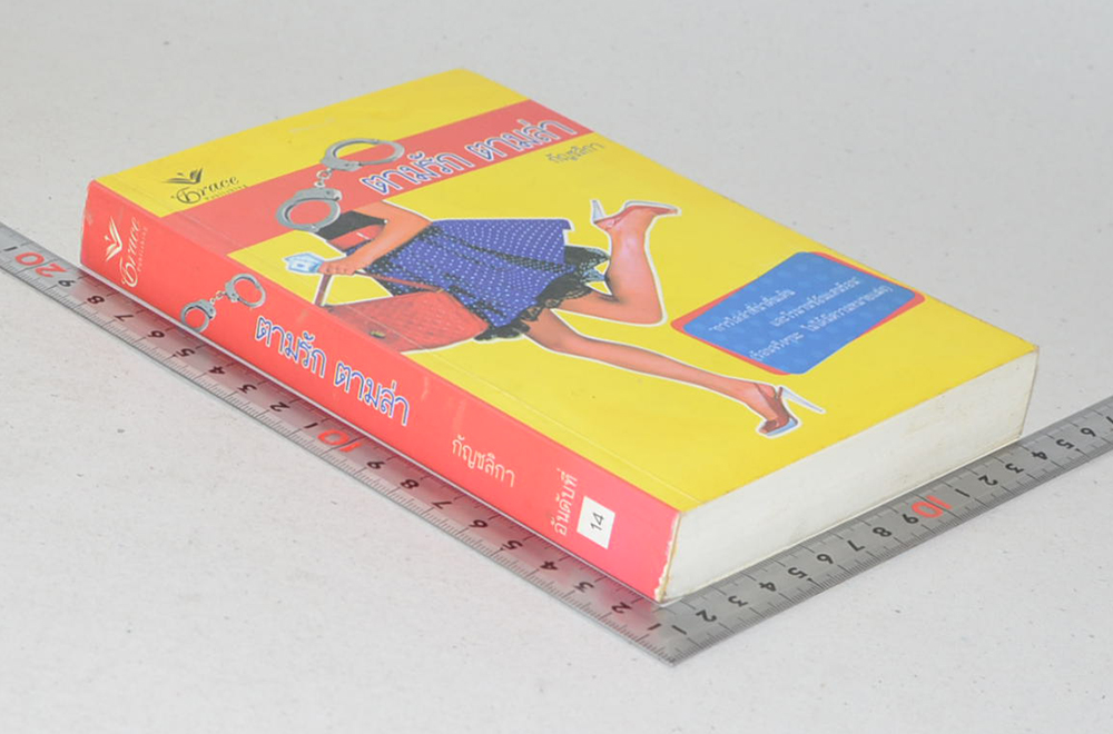 ตามรัก ตามล่า (เล่มเดียวจบ)