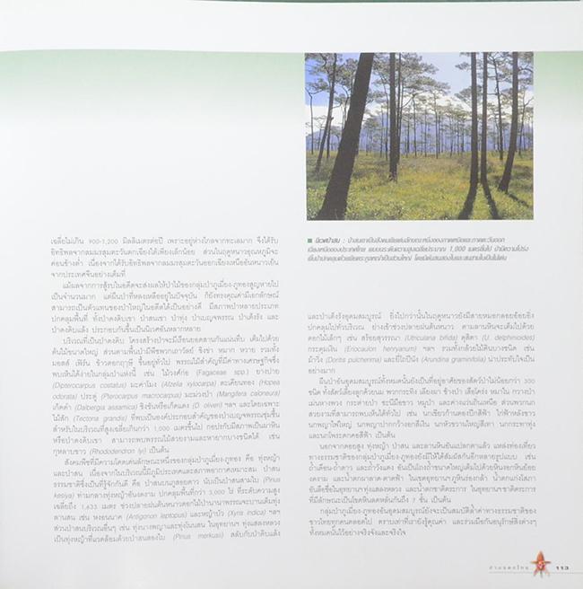 ป่ามรดกไทย อาณาจักรพรรณพืชและสรรพชีวิตแห่งป่าเขตร้อน (ขายตามสภาพ)