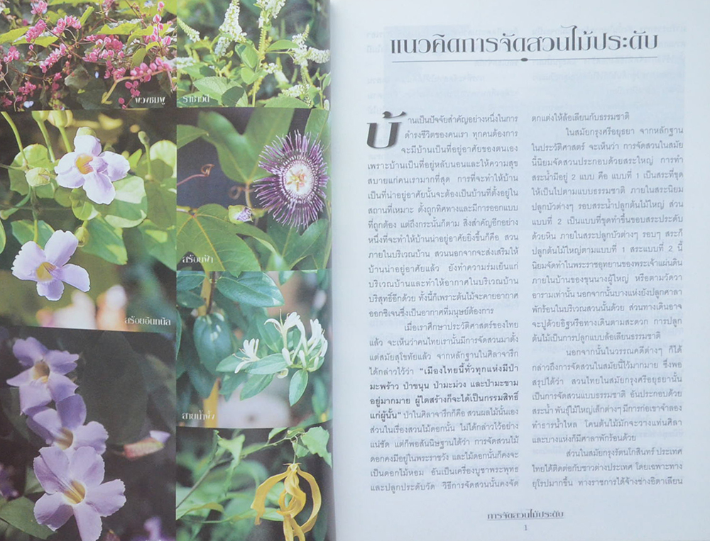 การจัดสวนไม้ประดับ