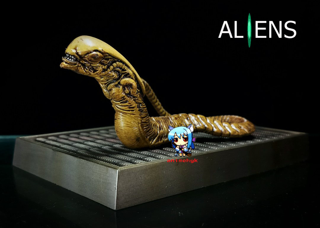 เอเลี่ยน ระเบิดอก Alien Xenomorph Chest Burster พร้อมฐาน 1/6 เรซิ่น
