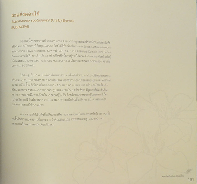 พรรณไม้เกียรติประวัติของไทย