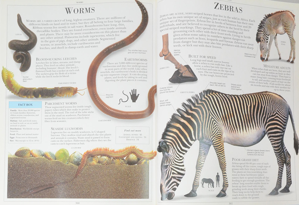 ANIMAL ENCYCLOPEDIA