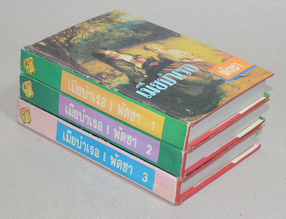 เมียบำเรอ (3 เล่มจบ)