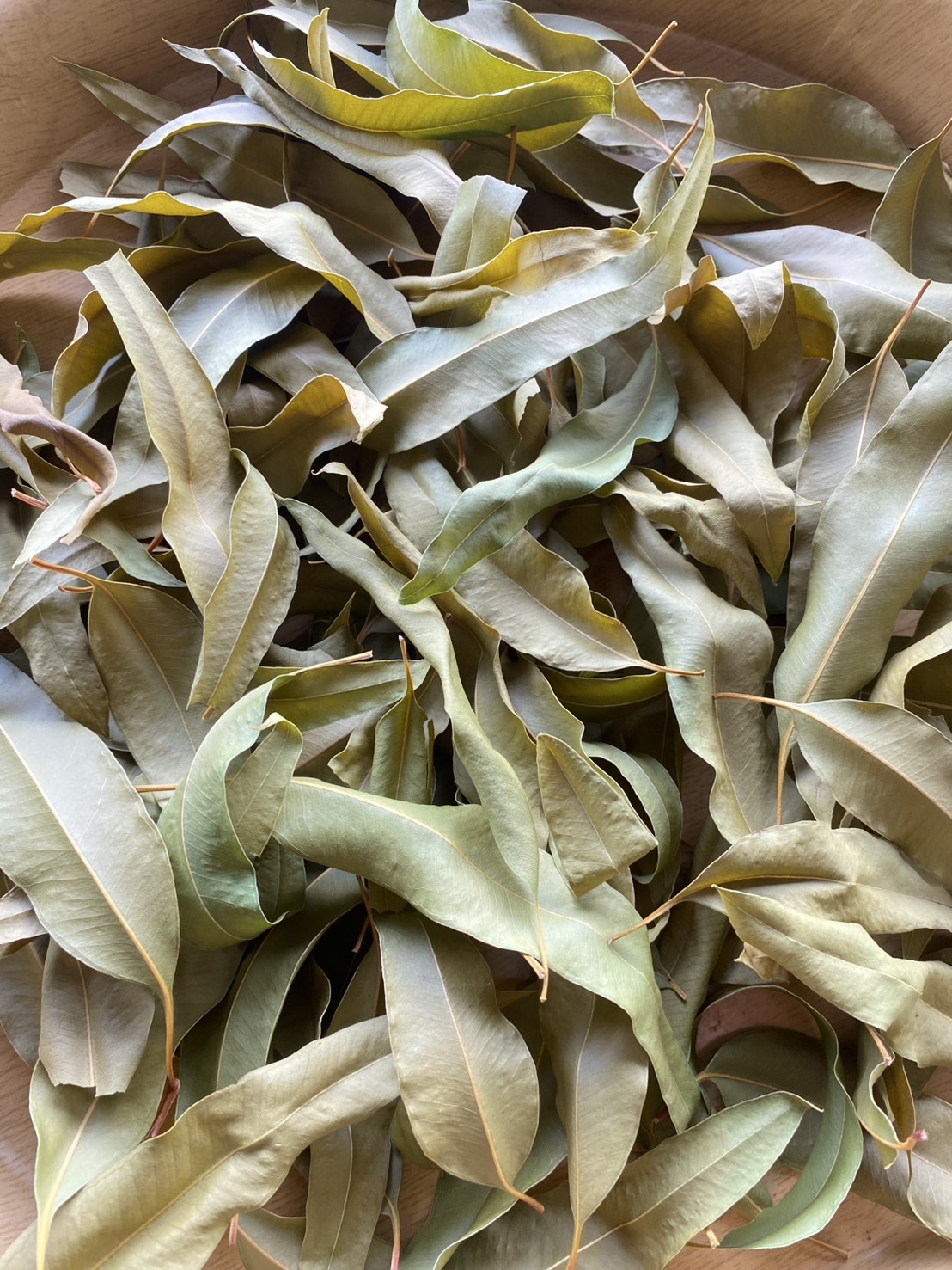 ใบยูคาลิปตัสอบแห้ง Eucalyptus