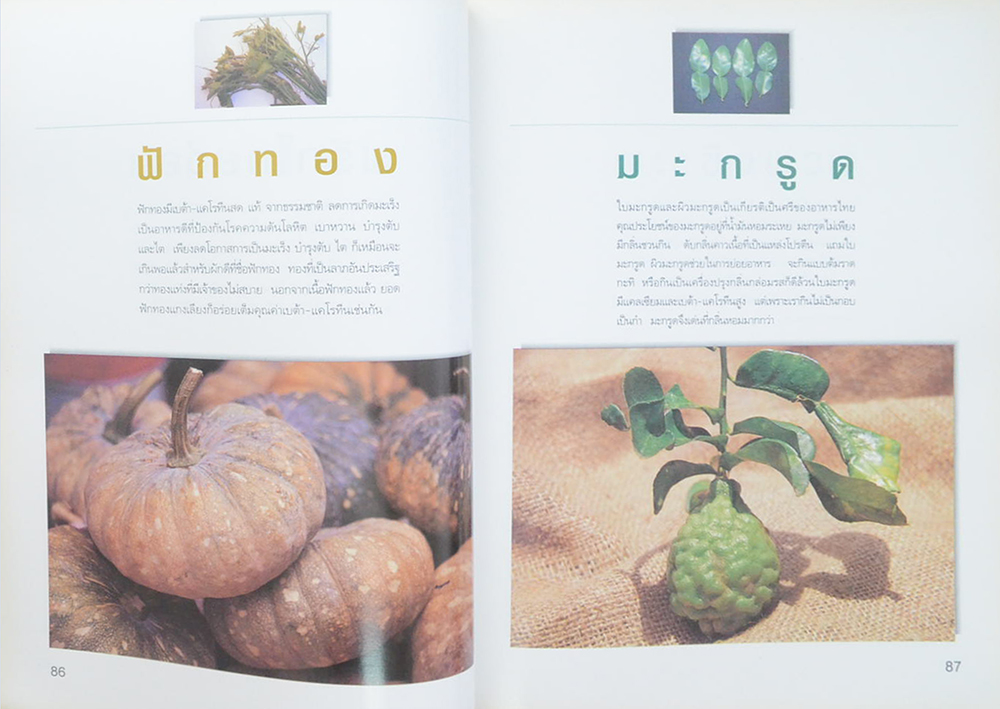 มหัศจรรย์ผัก 108