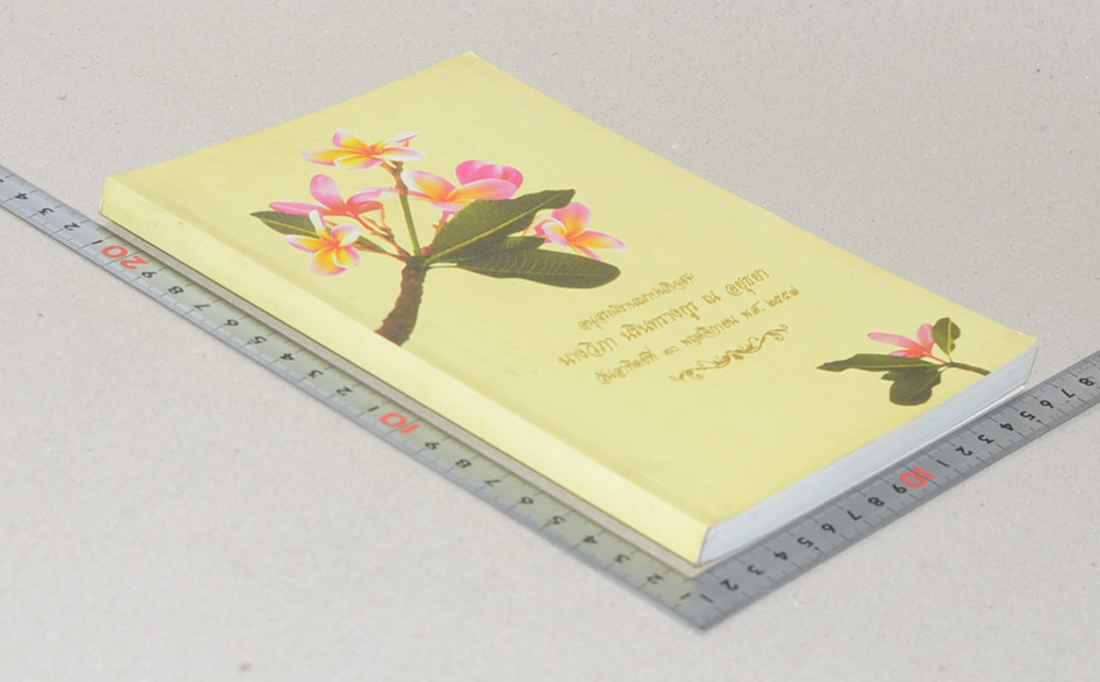 นางวิภา นรินทรางกูร ณ อยุธยา (คู่มือดับทุกข์)