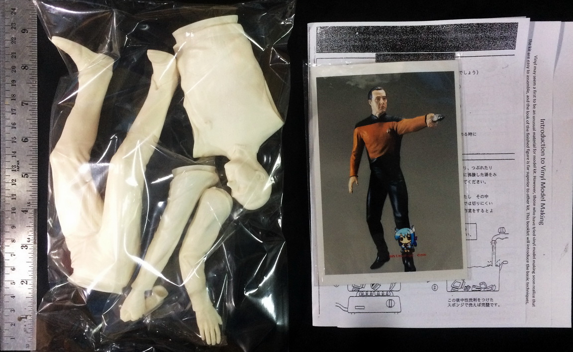 Star Trek Next Generation LIEUTENANT DATA 1/6