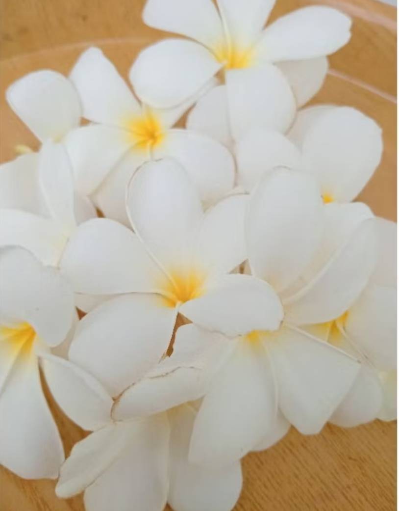 ดอกลีลาวดี (สีขาว) เก็บสด