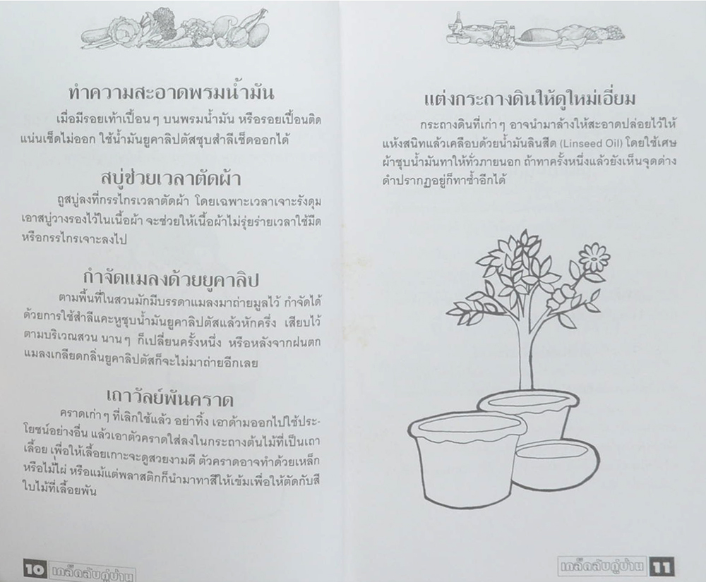 เคล็ดลับคู่บ้าน