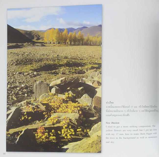 สาระกล้อง สาระรูป