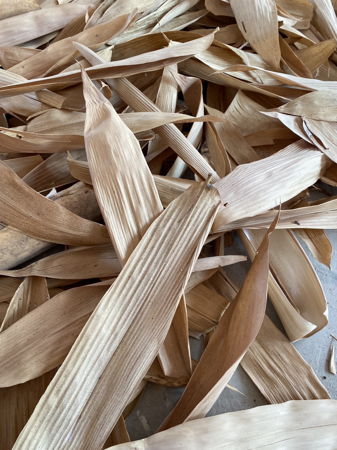 ใบไผ่ตากแห้ง ใบใหญ่ Bamboo