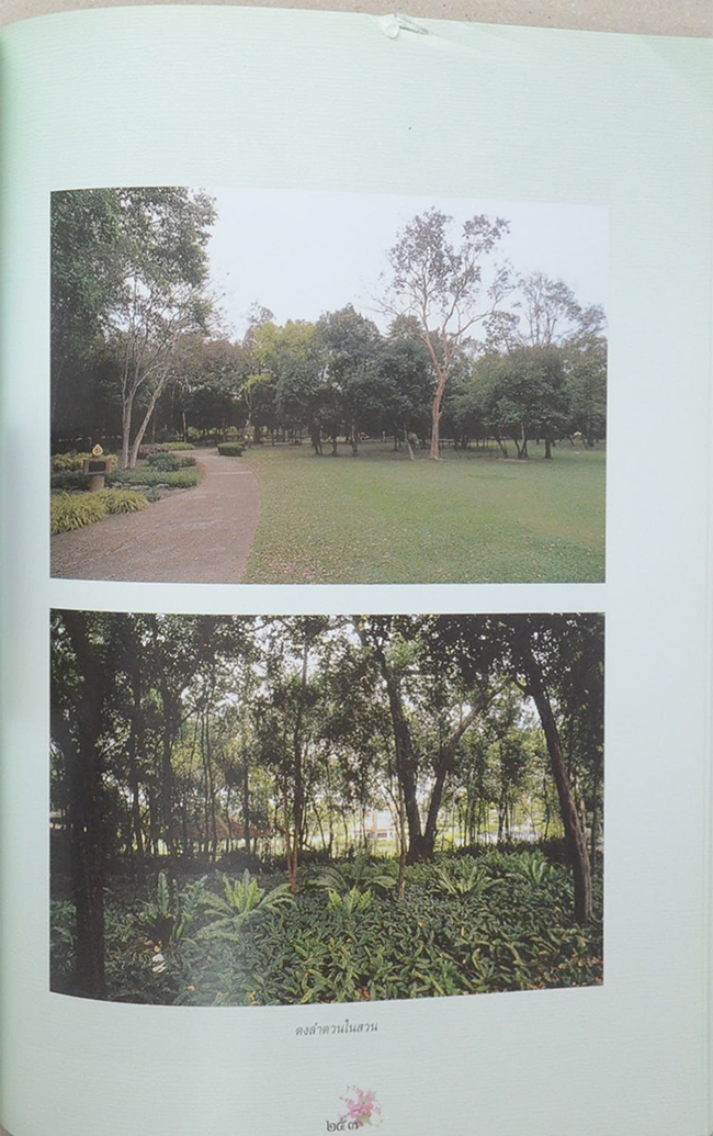 สวนสมเด็จพระศรีนครินทร์ (ขายตามสภาพ)