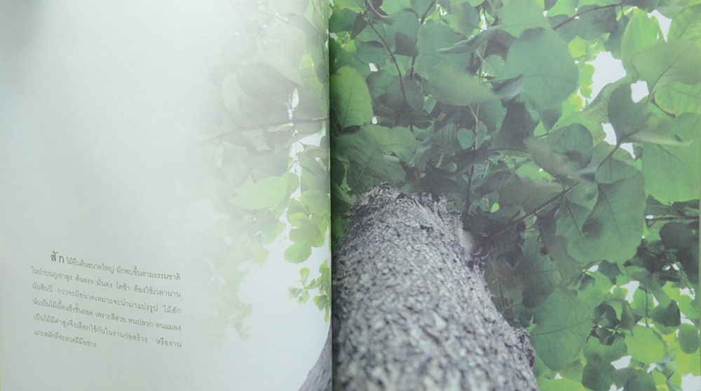 ปลูกคน ปลูกต้นไม้