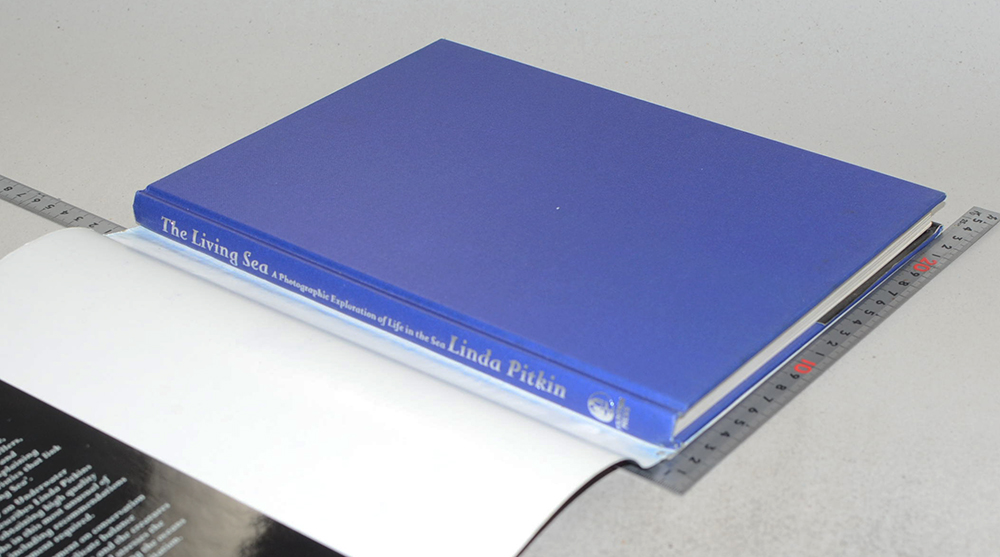 The Living Sea A Photographic Exploration of Life in the Sea