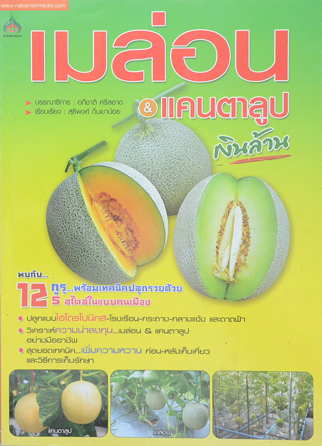 เมล่อน & แคนตาลูบ