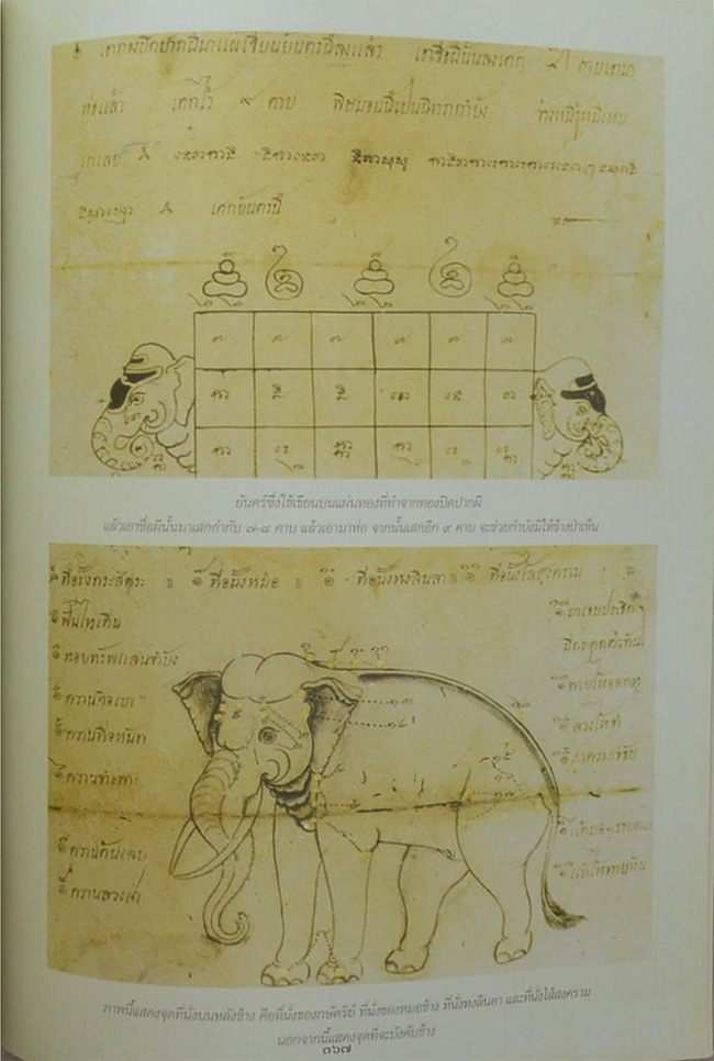 ท่านผู้หญิงอรอวล อิศรางกูร ณ อยุธยา (การจับช้างหรือการคล้องช้าง)
