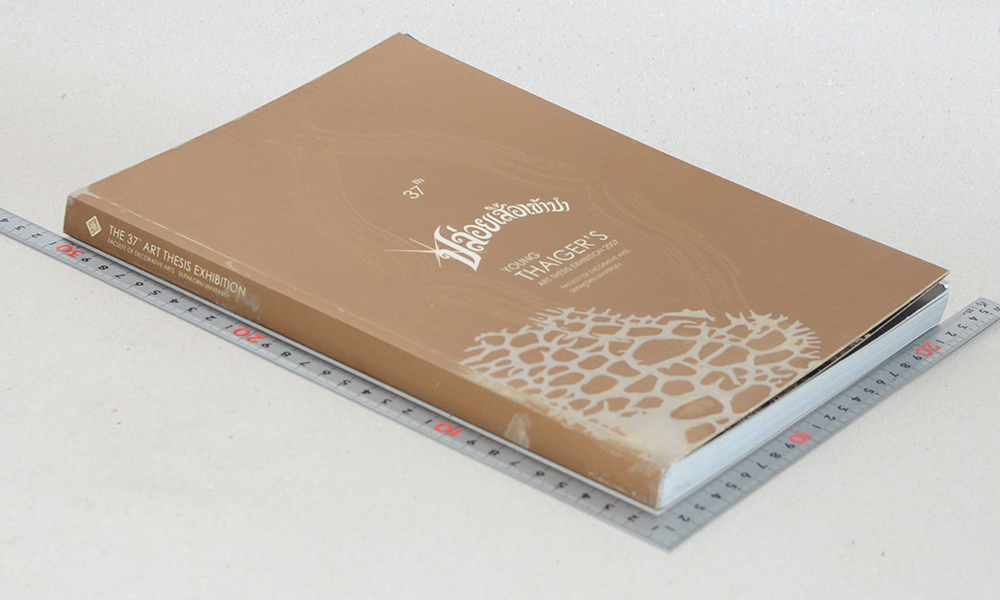 THE 37th ART THESIS EXHIBITION ปล่อยเสือเข้าป่า