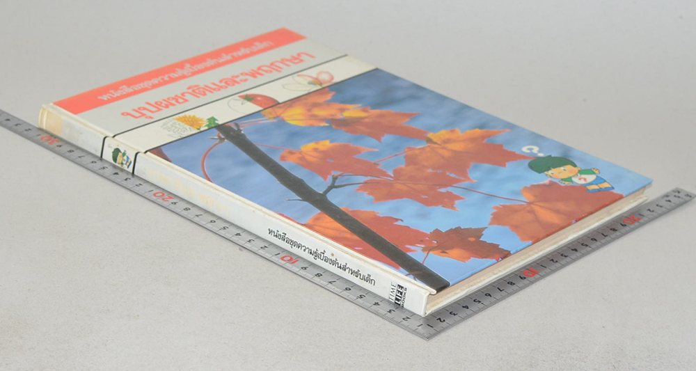 บุปผชาติและพฤกษา