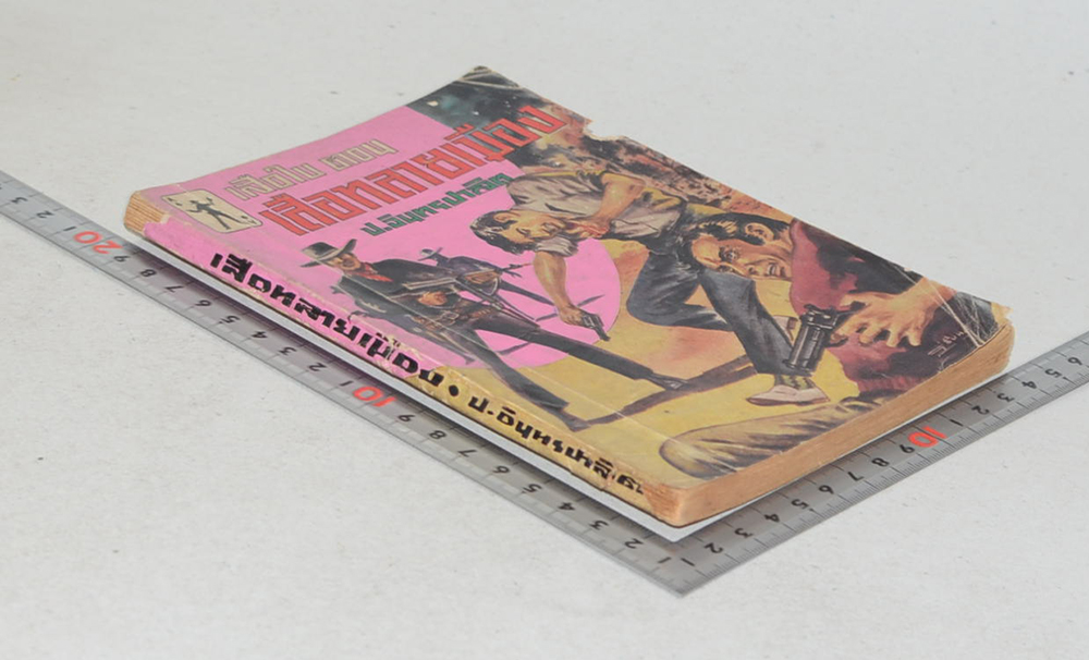 เสือใบ ตอน เสือทลายเมือง (เล่ม 2)