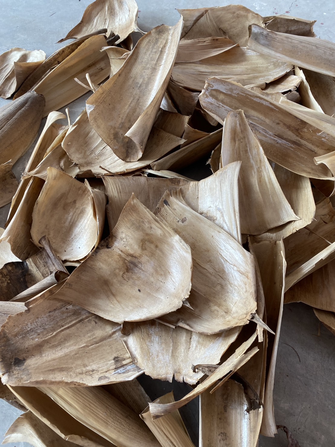 กาบใบไผ่แห้ง กาบไผ่ทำภาชนะ bamboo