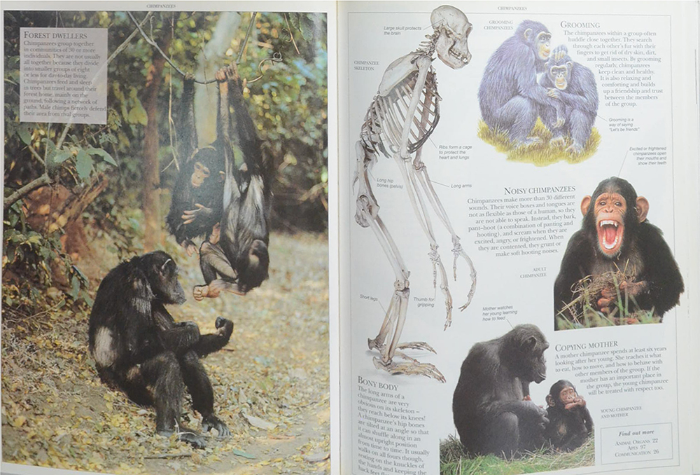 ANIMAL ENCYCLOPEDIA