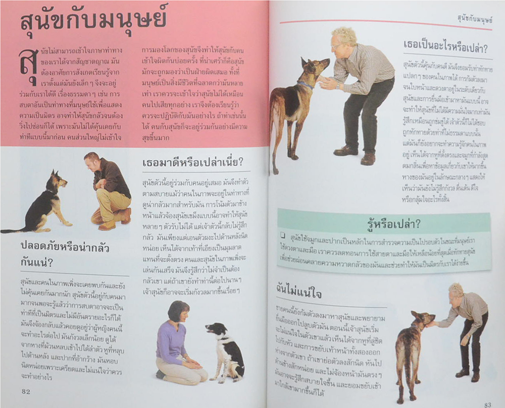 รู้ไหมหมาคิดอะไรอยู่?