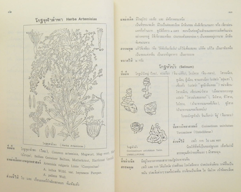 นายกิจ จีรวงส์ (สมุนไพร โกศต่างๆ)