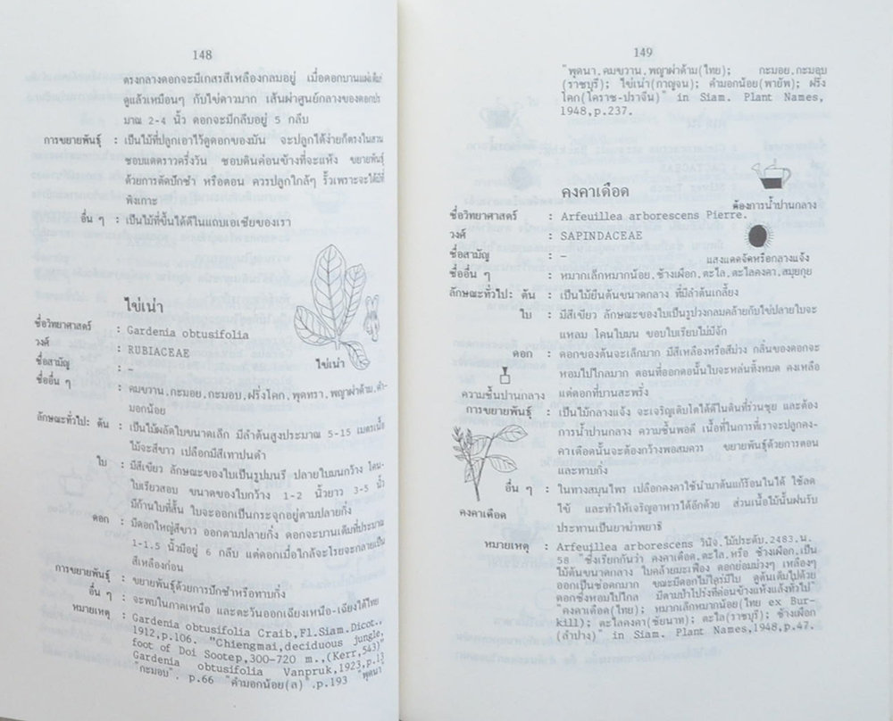พจนานุกรมไม้ดอกไม้ประดับในเมืองไทย