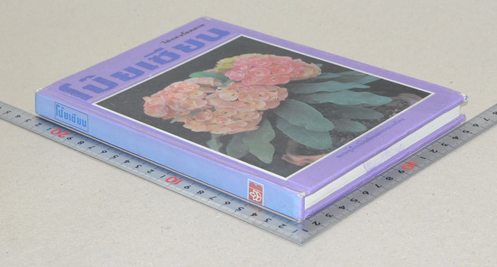 โป๊ยเซียน (ขายตามสภาพ)