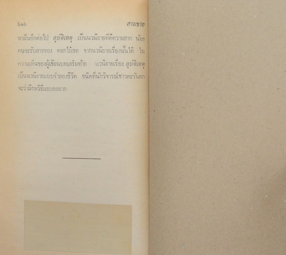 สามชาย (เล่มเดียวจบ / ขายตามสภาพ)