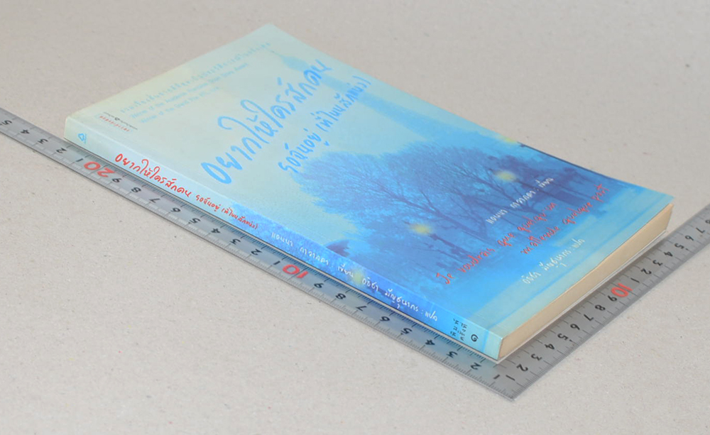 อยากให้ใครสักคนรอฉันอยู่ (ที่ไหนสักแห่ง)