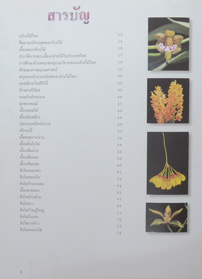 สวนพฤกษศาสตร์สมเด็จพระนางเจ้าสิริกิติ์ เล่ม 6 กล้วยไม้ไทย (ขายตามสภาพ)