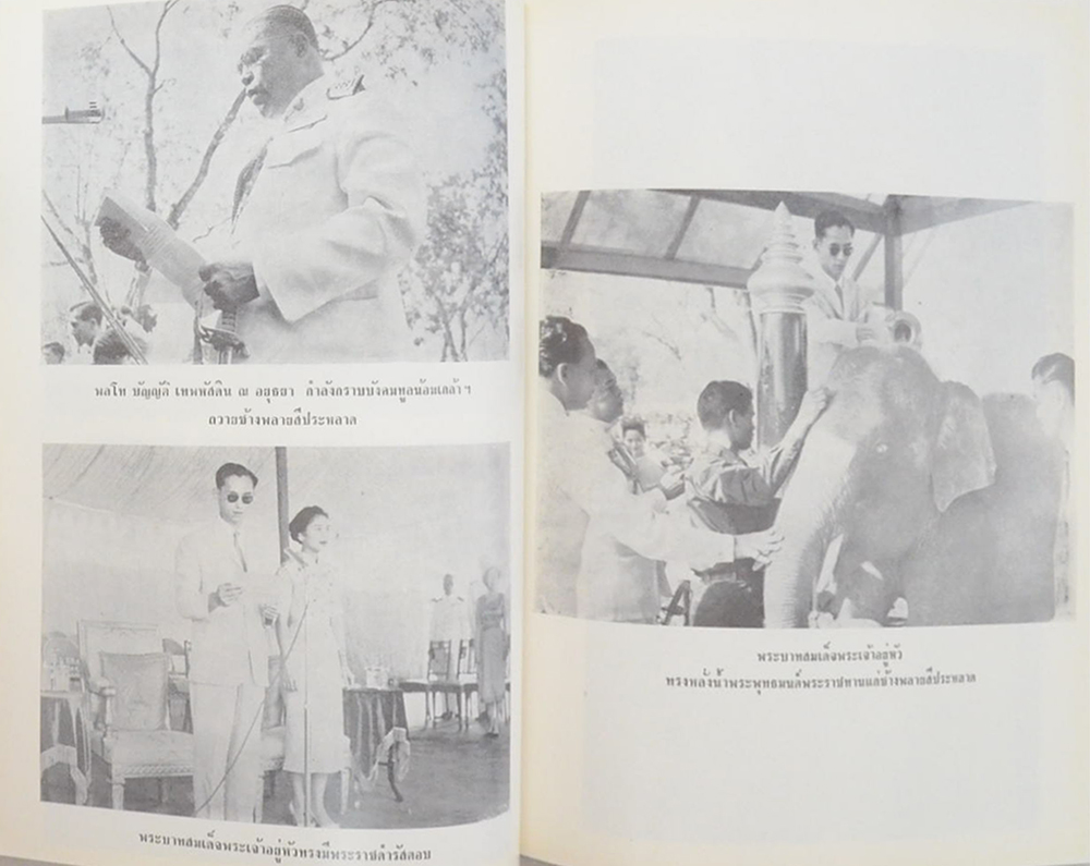 ช้างเผือก