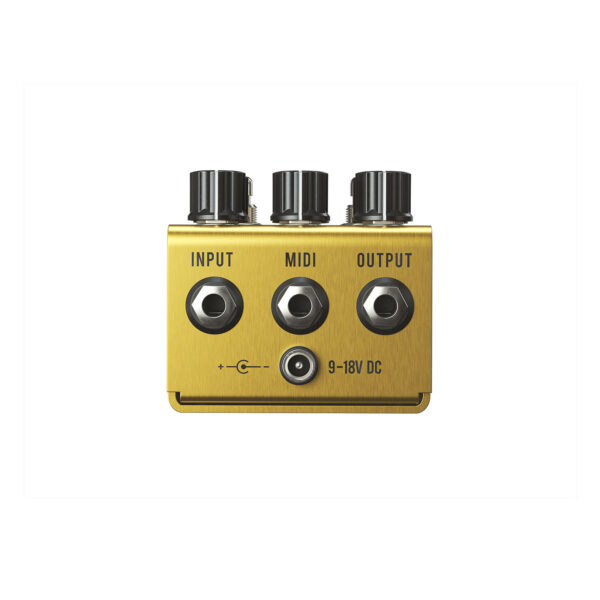 JACKSON AUDIO - GOLDEN BOY (Transparent Overdrive)