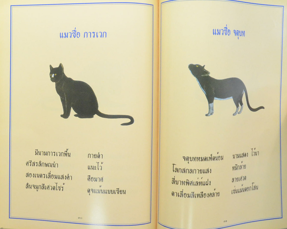 โชติปาลเถรปูชา อนุสรณ์ 100 ปี พระเทพสุธี (พรหม โชติปาโล ป.ธ.7) (ลักษณะแมวไทย)