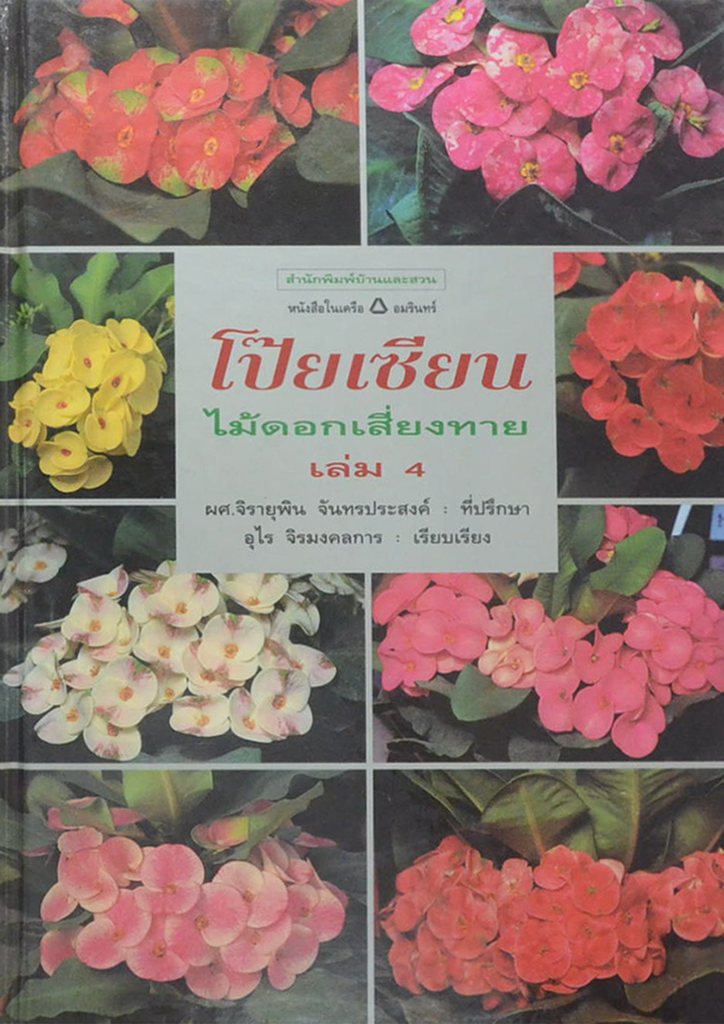 โป๊ยเซียนไม้ดอกเสี่ยงทาย (เล่ม 4/ ขายตามสภาพ)