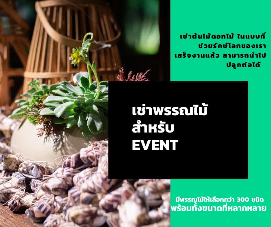 บริการเช่าต้นไม้สำหรับงาน EVENT
