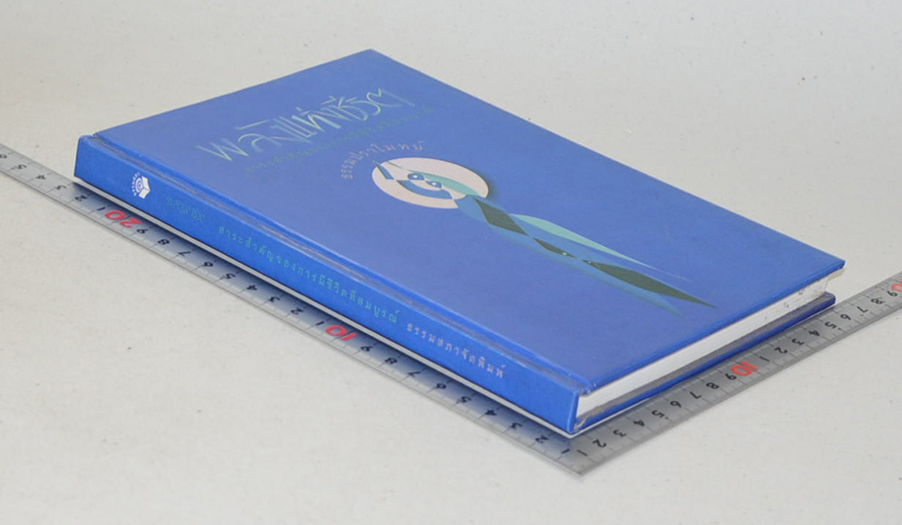 พลังแห่งชีวิต สาระสำคัญขงการมีชีวิตที่สมบูรณ์