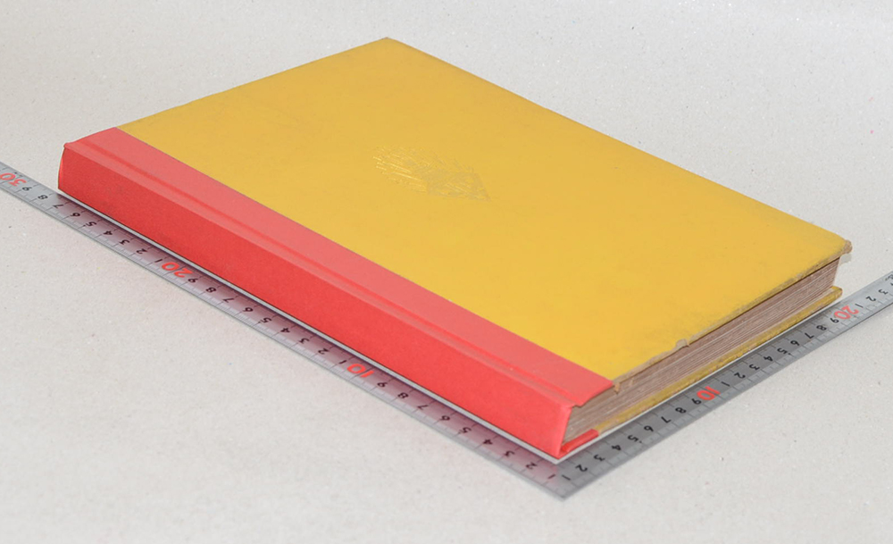 สมเด็จพระบรมโอรสาธิราช เจ้าฟ้ามหาวชิราลงกรณ สยามมกุฎราชกุมาร