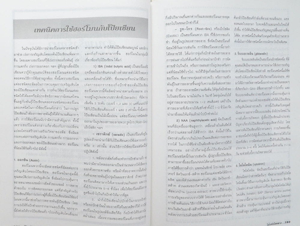 โป๊ยเซียนไม้แห่งโชคลาภ (ขายตามสภาพ)