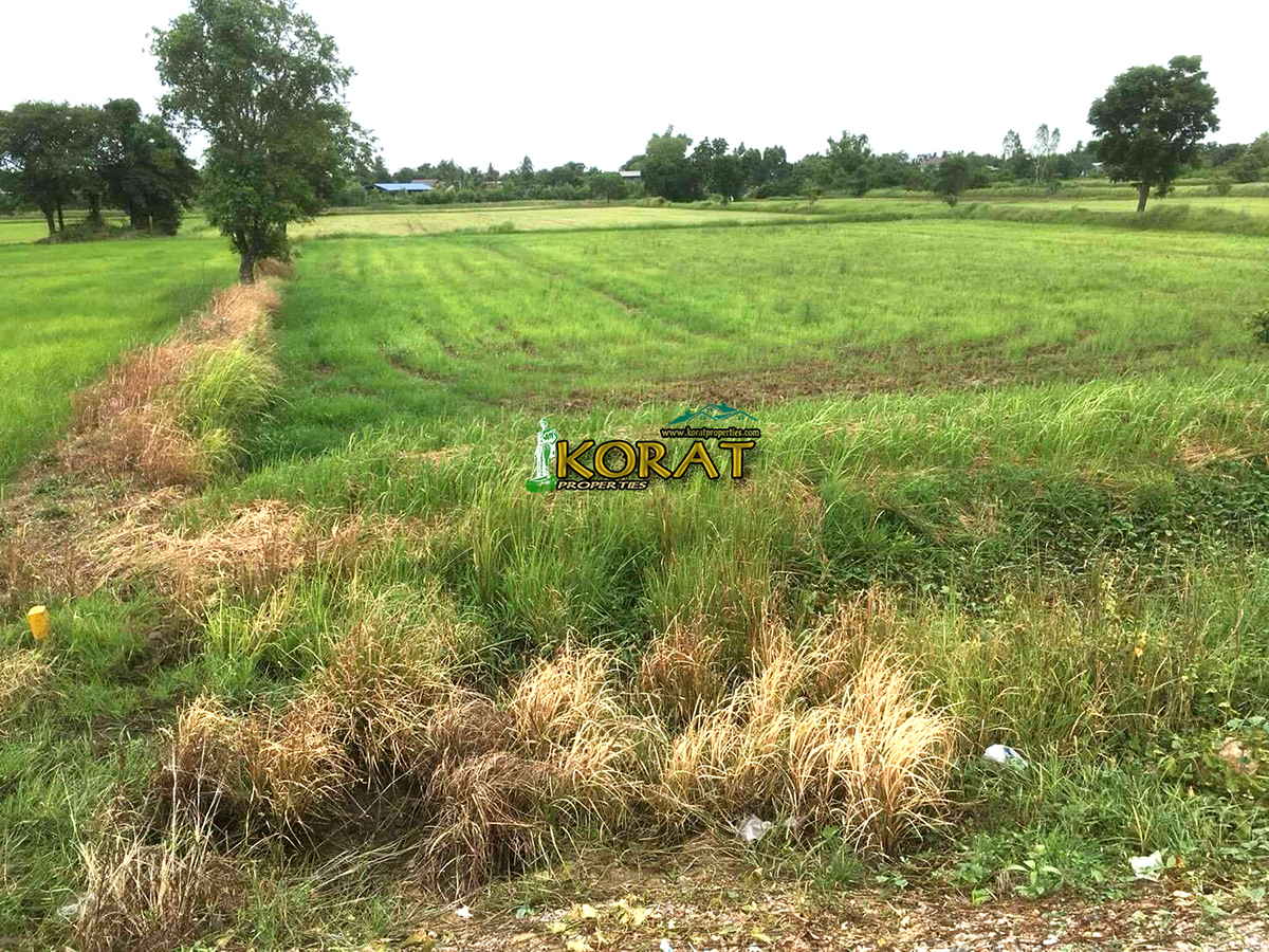 ขายที่ดิน เนื้อที่ 16-1-63 ไร่ โซน อำเภอพิมาย # รหัสทรัพย์ KP-0224