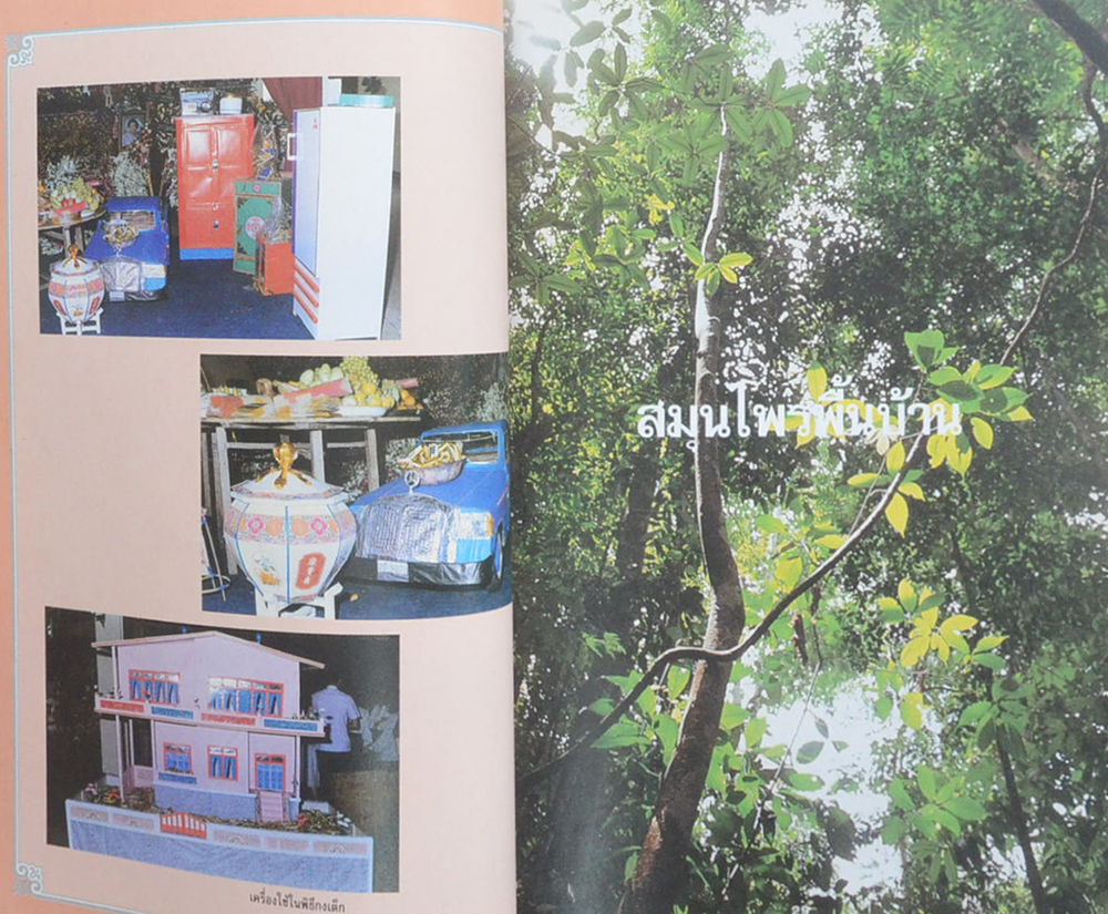 นางเฮียง ปทุมารักษ์ (สมุนไพรพื้นบ้าน)