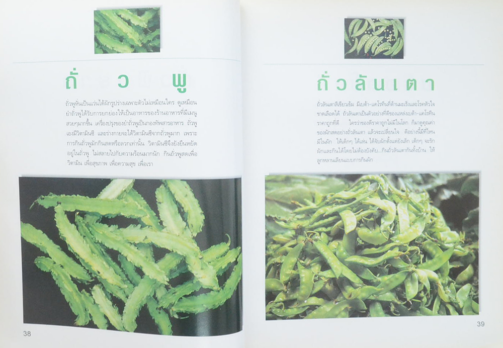 มหัศจรรย์ผัก 108