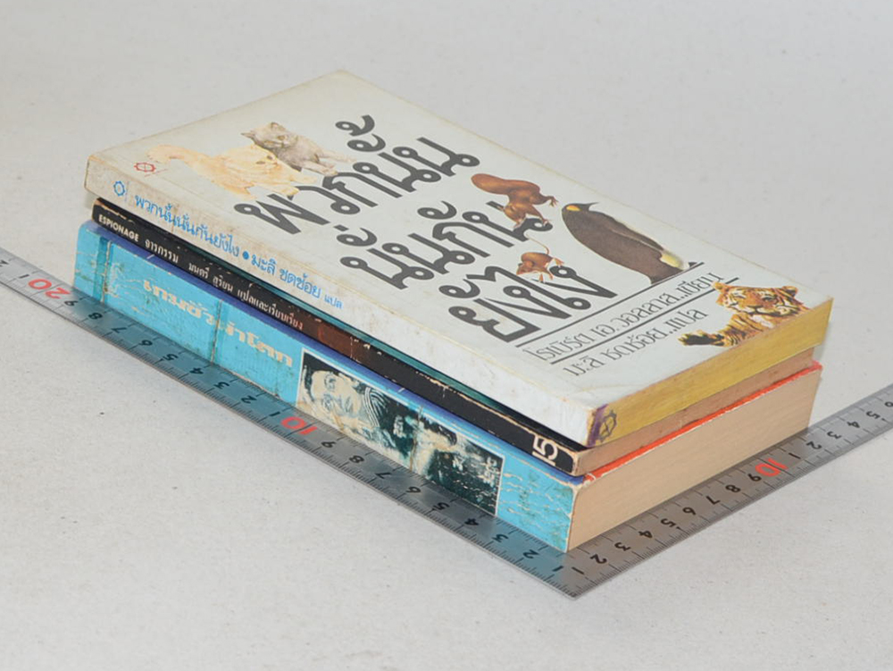 รวมเรื่อง (3 เล่ม / เล่มเล็ก)