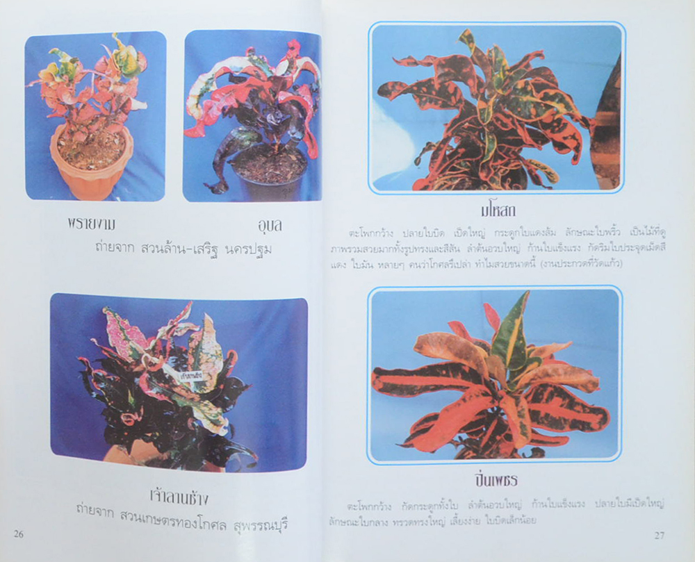 ประกายเซียน ปีที่ 2 ฉบับที่ 2 เมษายน 2540