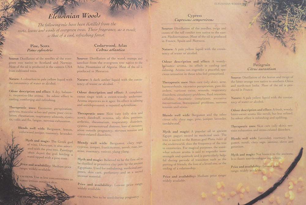 Sensual Aromatharapy Essential oils for lovers